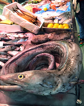 Seafood, including eel