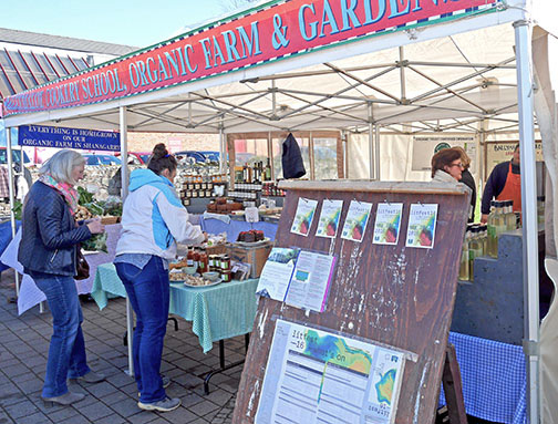 Shoppers at the Ballymaloe stall