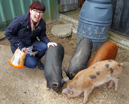 Petting the pigs at Olly
